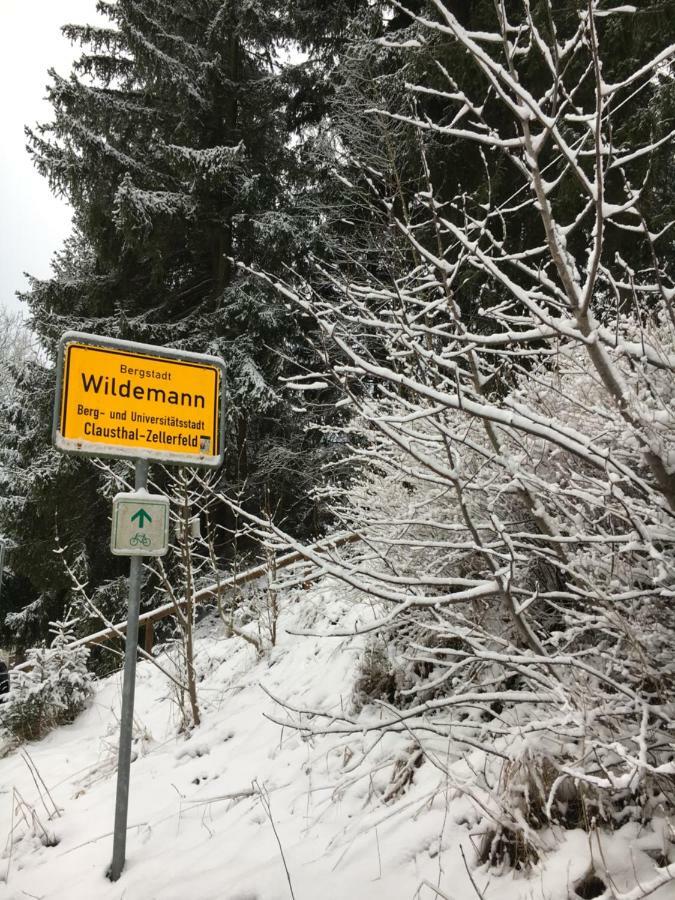 Haus Georgenhoehe Wildemann Kültér fotó