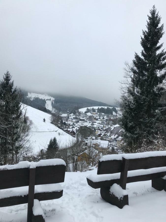 Haus Georgenhoehe Wildemann Kültér fotó