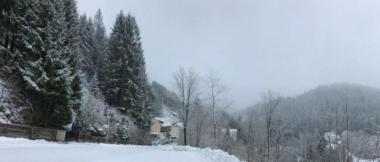 Haus Georgenhoehe Wildemann Kültér fotó